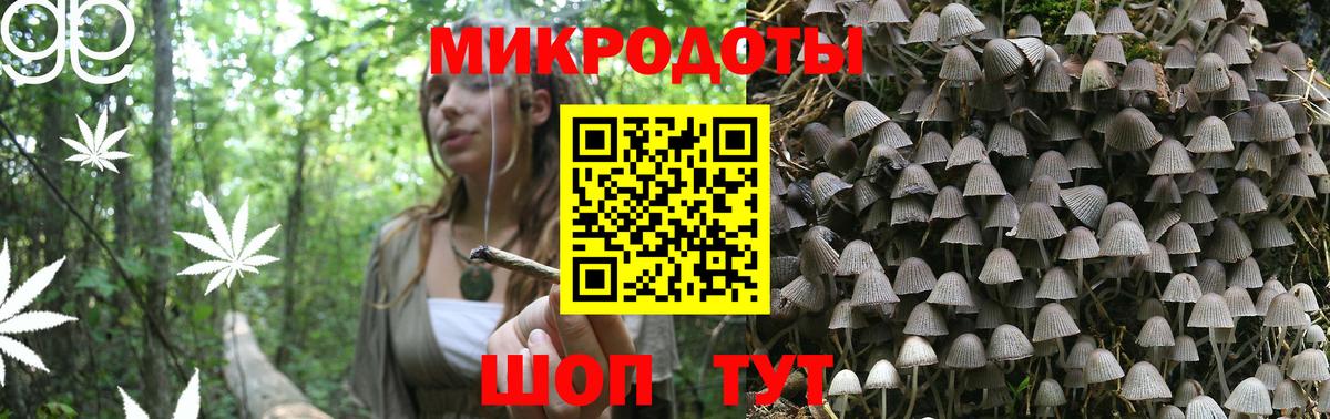 Псилоцибиновые грибы MAGIC MUSHROOMS  Вход с VPN  Советск 