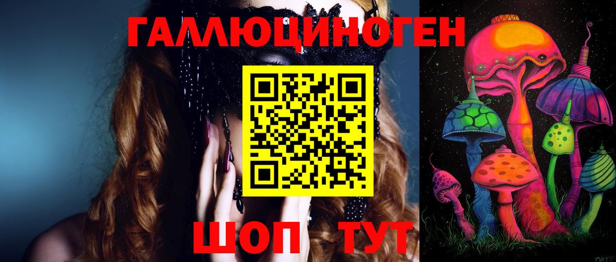 Псилоцибиновые грибы Psilocybine cubensis Советск